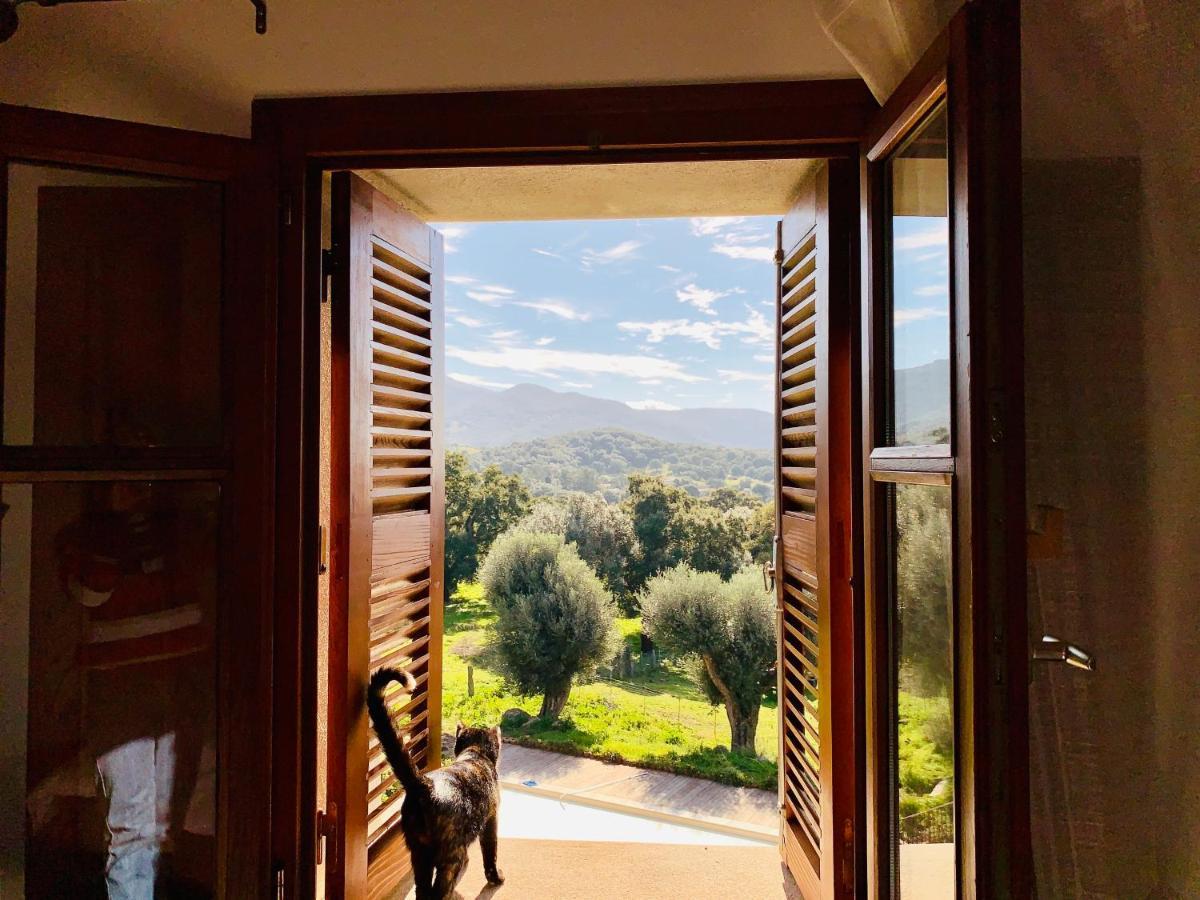 Domaine De Tappa - Casa Filicina Villa Sollacaro Kültér fotó