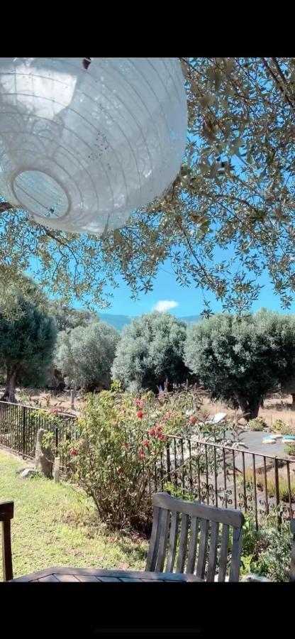 Domaine De Tappa - Casa Filicina Villa Sollacaro Kültér fotó