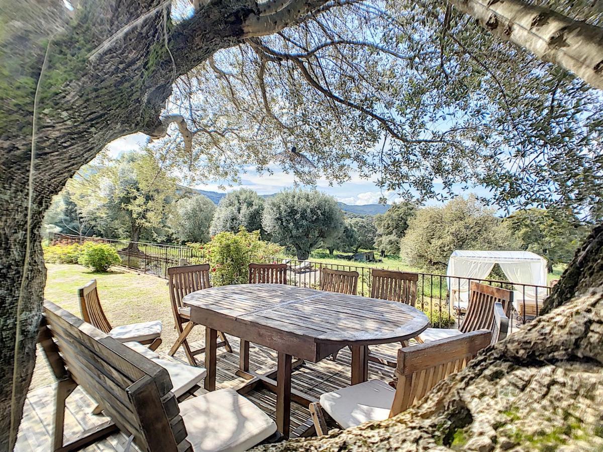 Domaine De Tappa - Casa Filicina Villa Sollacaro Kültér fotó