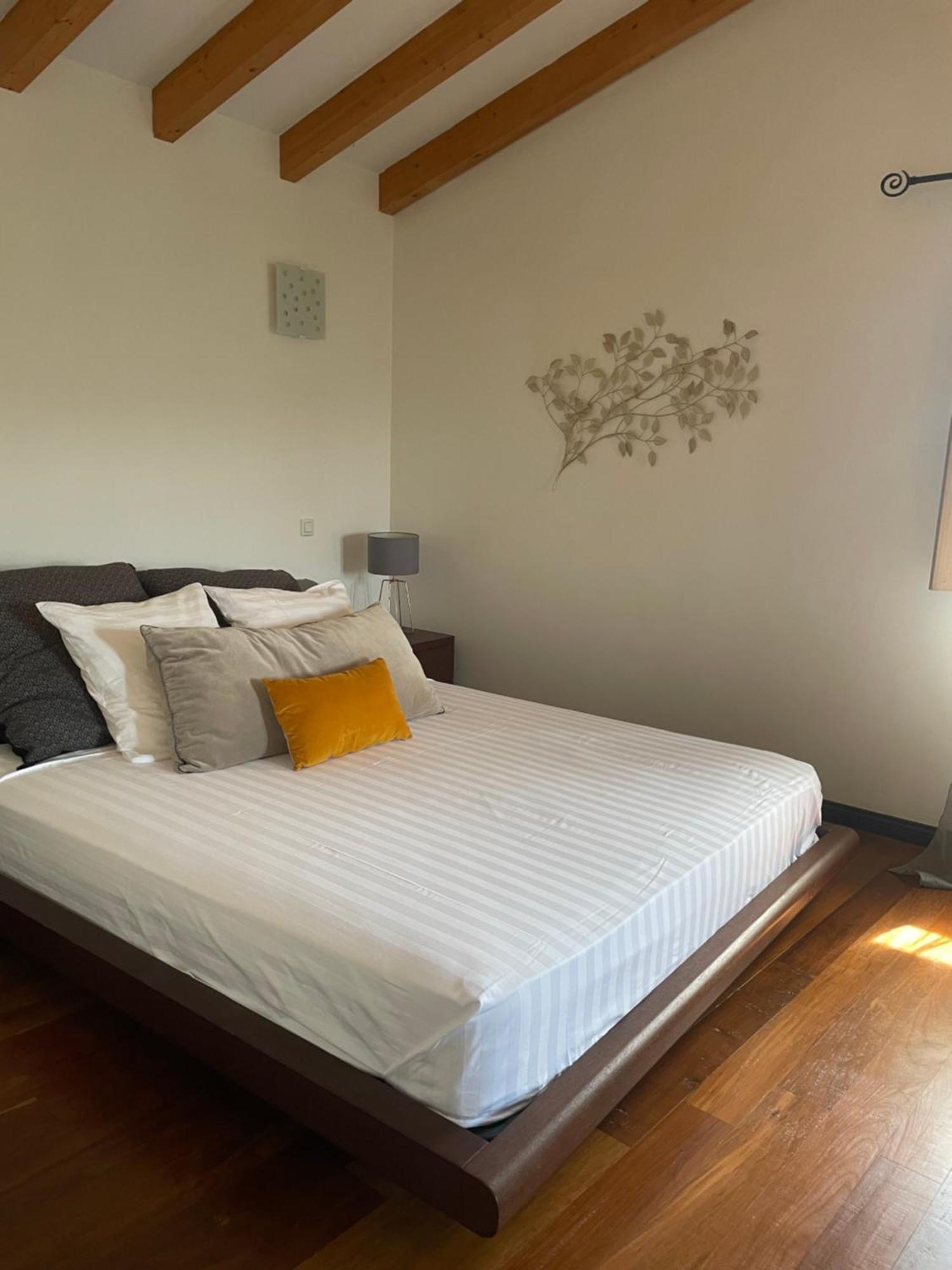 Domaine De Tappa - Casa Filicina Villa Sollacaro Kültér fotó