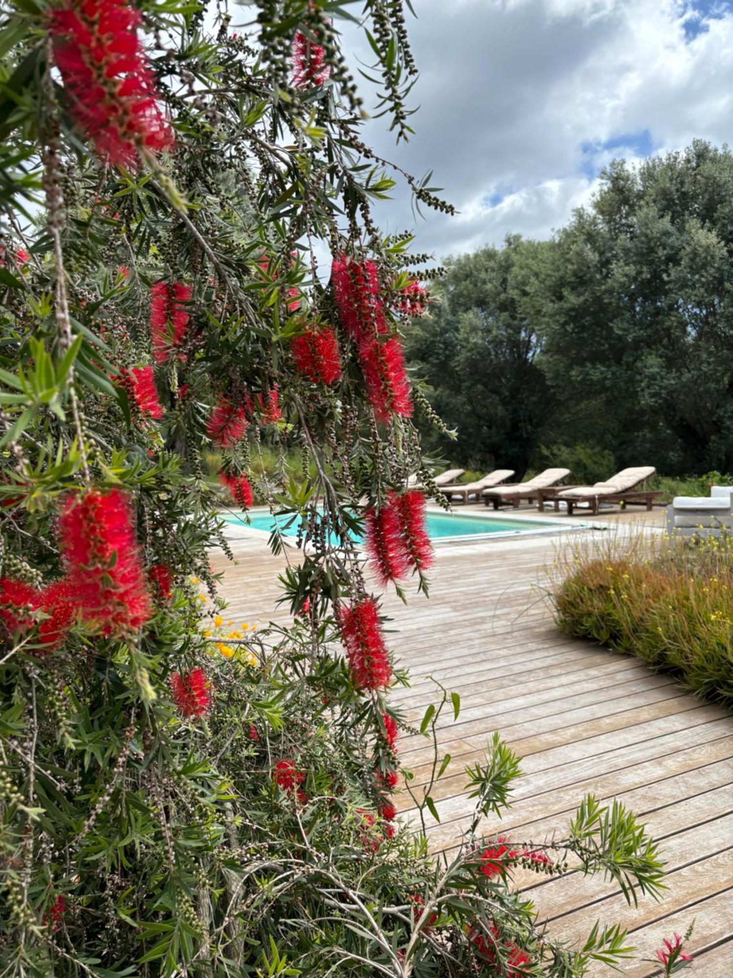 Domaine De Tappa - Casa Filicina Villa Sollacaro Kültér fotó