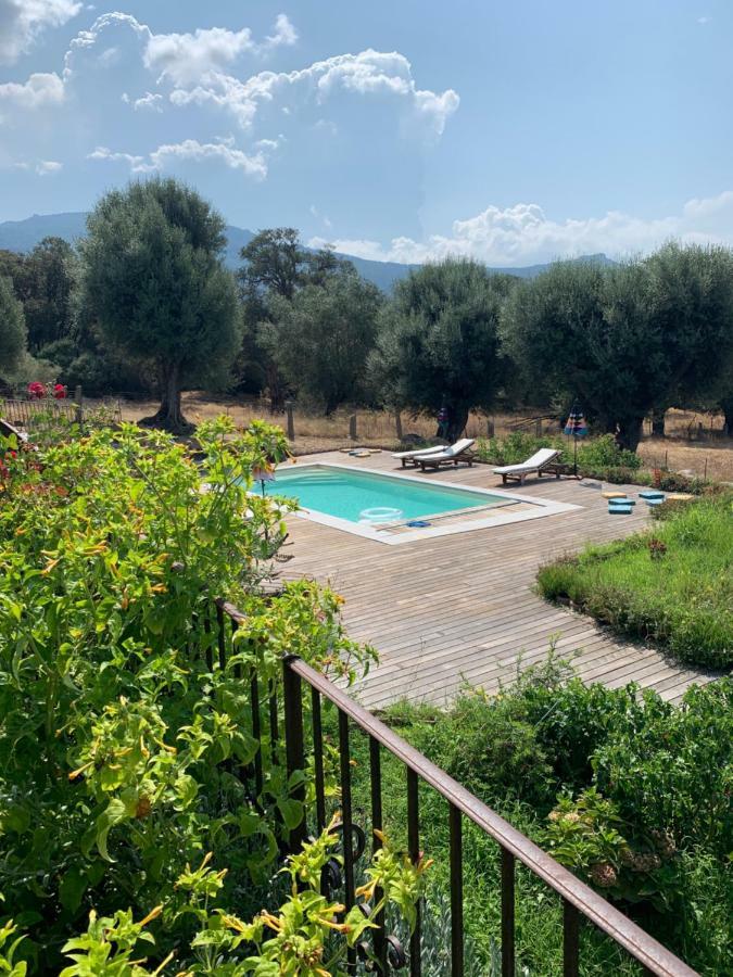 Domaine De Tappa - Casa Filicina Villa Sollacaro Kültér fotó